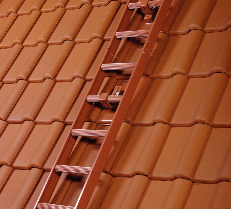 Roof ladder