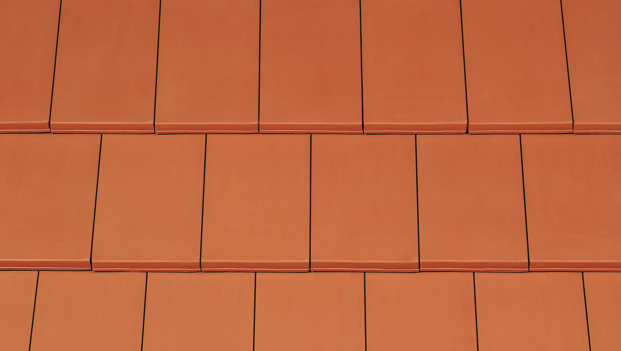 DOMINO natural red
